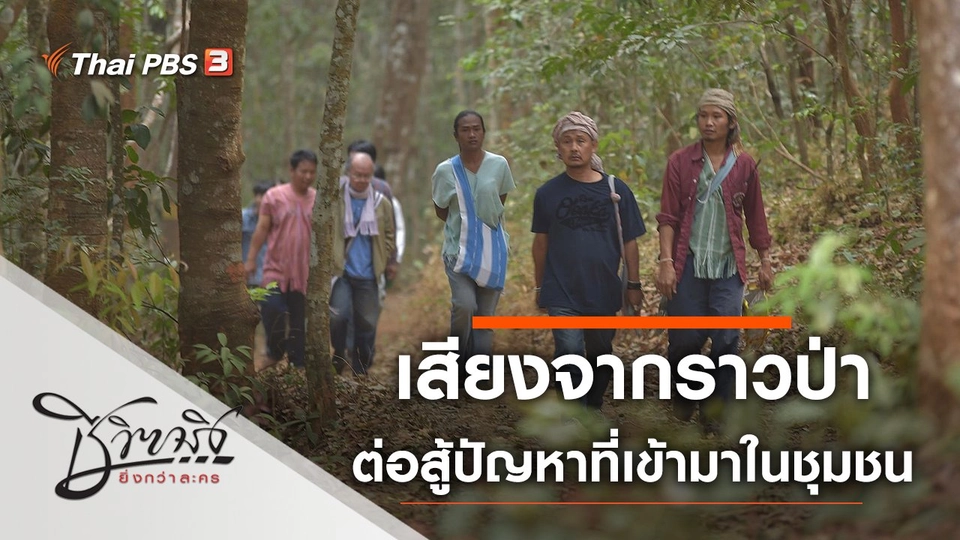 เสียงจากราวป่า