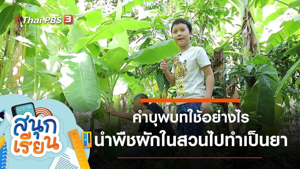 คำบุพบทใช้อย่างไร, นำพืชผักในสวนไปทำเป็นยา