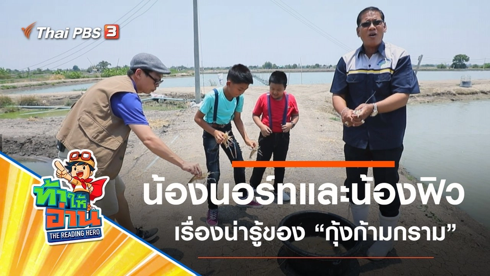 กุ้งก้ามกราม : น้องนอร์ทและน้องฟิว