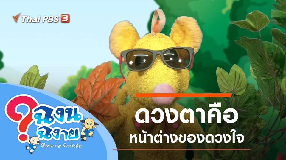 ดวงตาคือหน้าต่างของดวงใจ