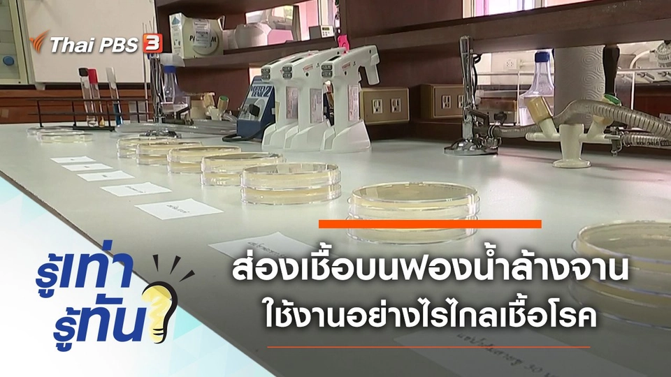 ส่องเชื้อบนฟองน้ำล้างจาน ใช้งานอย่างไรไกลเชื้อโรค