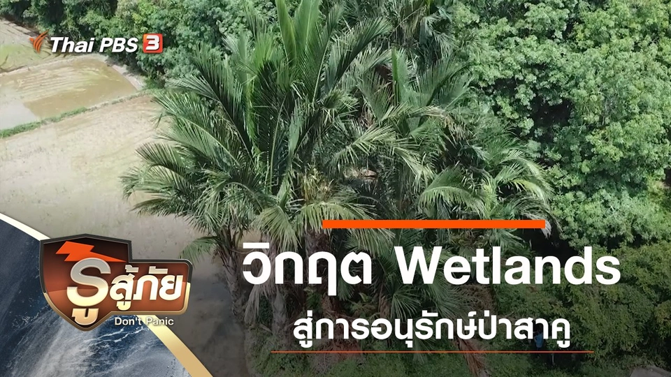 วิกฤต Wetlands