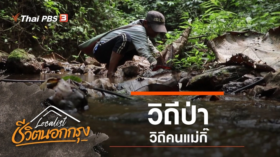 วิถีป่า วิถีคนแม่กิ๊