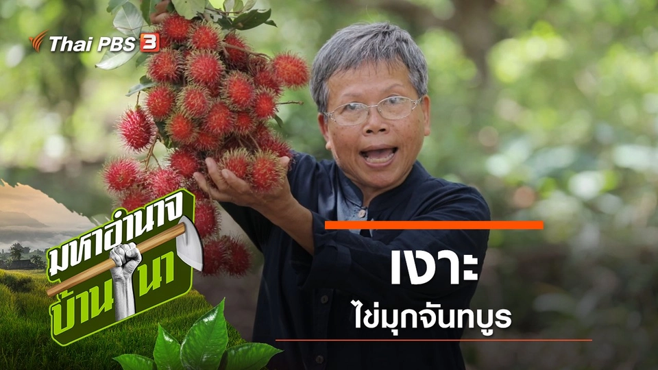 เงาะ ไข่มุกจันทบูร