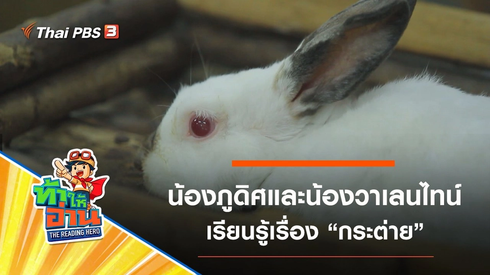 กระต่าย : น้องภูดิศและน้องวาเลนไทน์