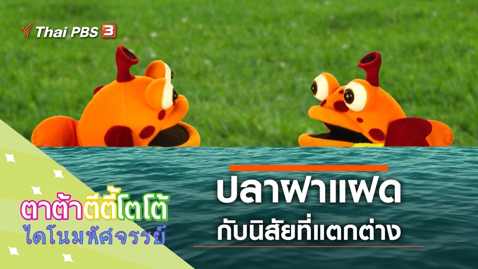 ปลาฝาแฝด