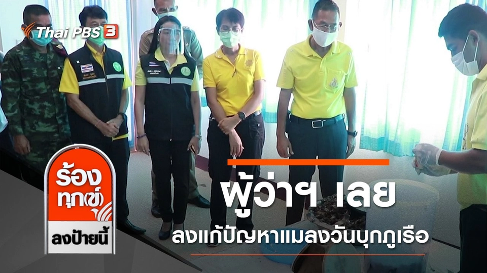 ผู้ว่าฯ เลย ลงแก้ปัญหาแมลงวันบุกภูเรือ