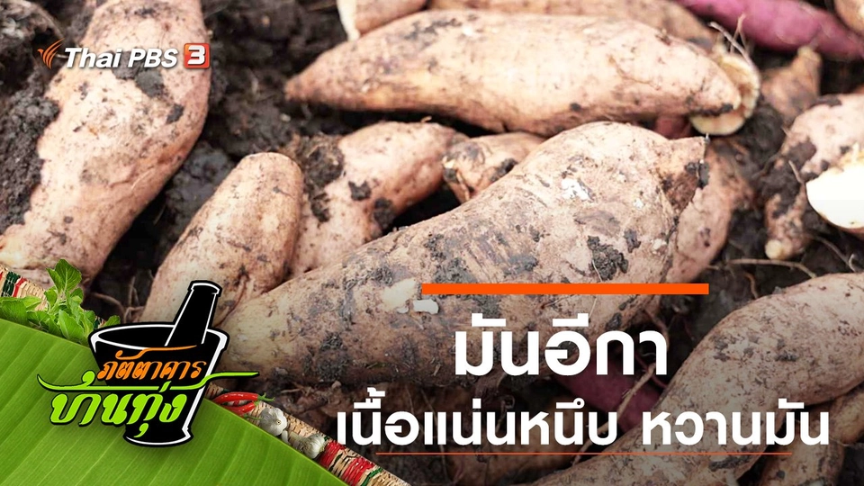 มันอีกา