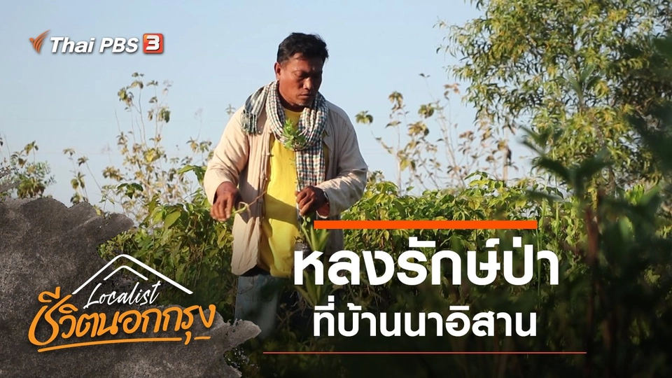 หลงรักษ์ป่า ที่บ้านนาอิสาน