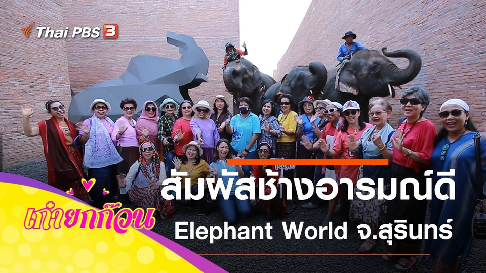 Elephant World โครงการคชศึกษา จ.สุรินทร์