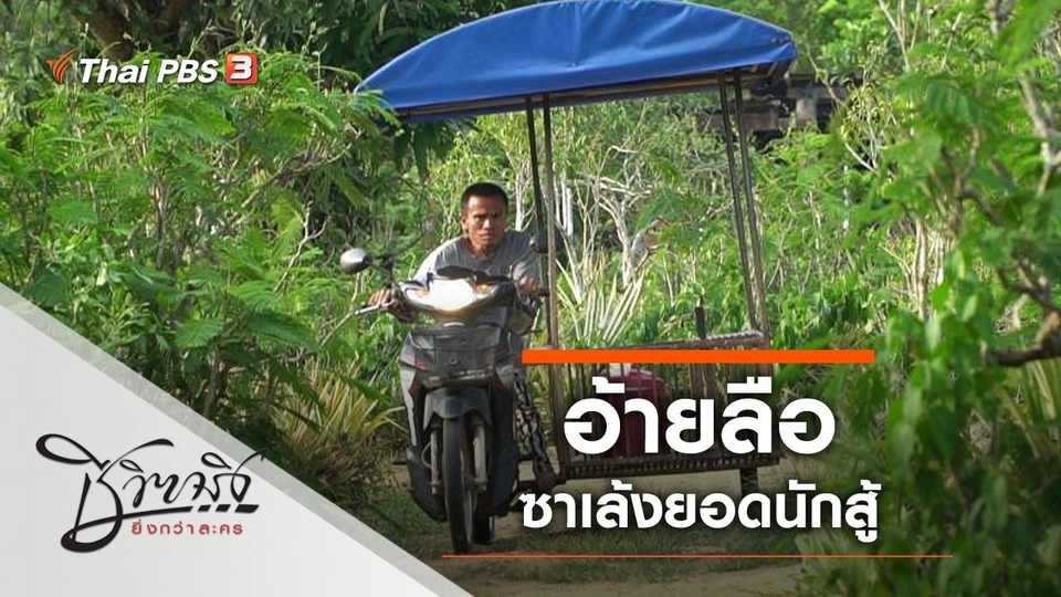 อ้ายลือ ซาเล้งยอดนักสู้