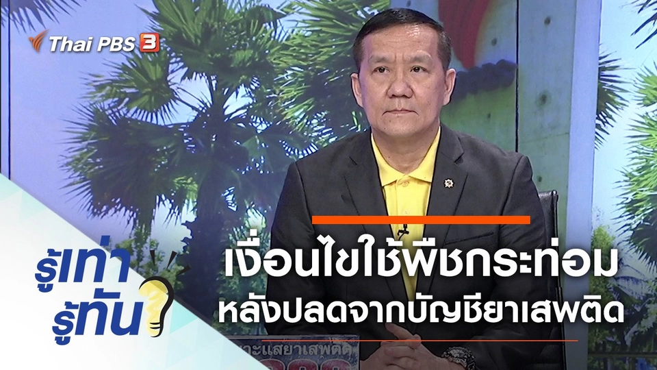 เจาะเงื่อนไขการใช้พืชกระท่อม หลังปลดออกจากบัญชียาเสพติด