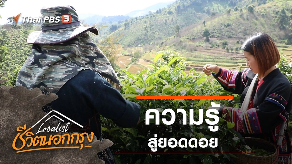 ความรู้สู่ยอดดอย