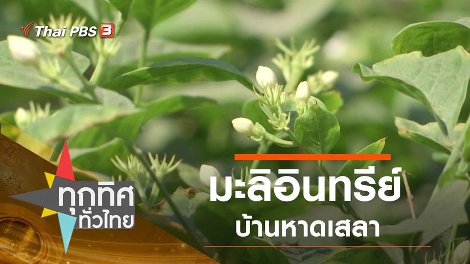 ประเด็นข่าว (16 มี.ค. 63)