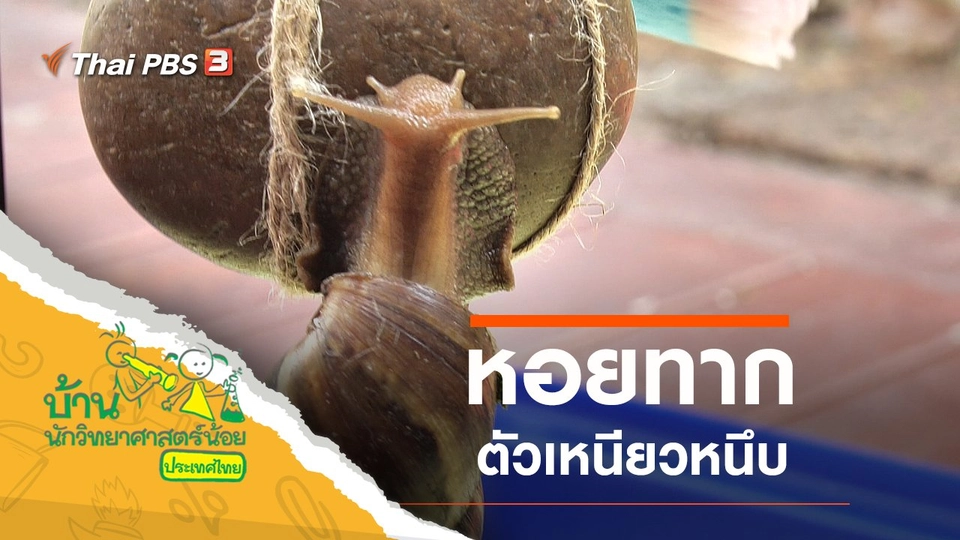 ตัวเหนียวหนึบ