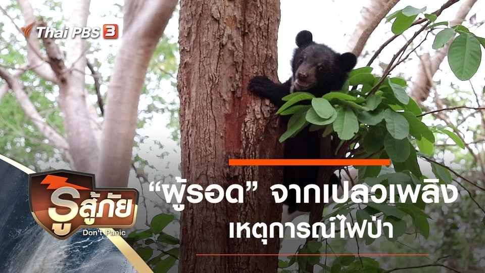 "ผู้รอด" จากเปลวเพลิง