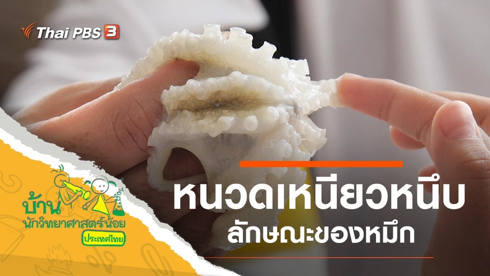 หนวดเหนียวหนึบ