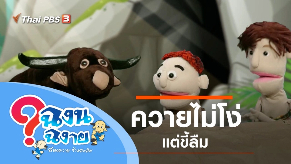 ควายไม่โง่แต่ขี้ลืม