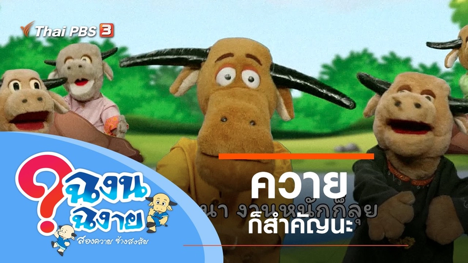 ควายก็สำคัญนะ