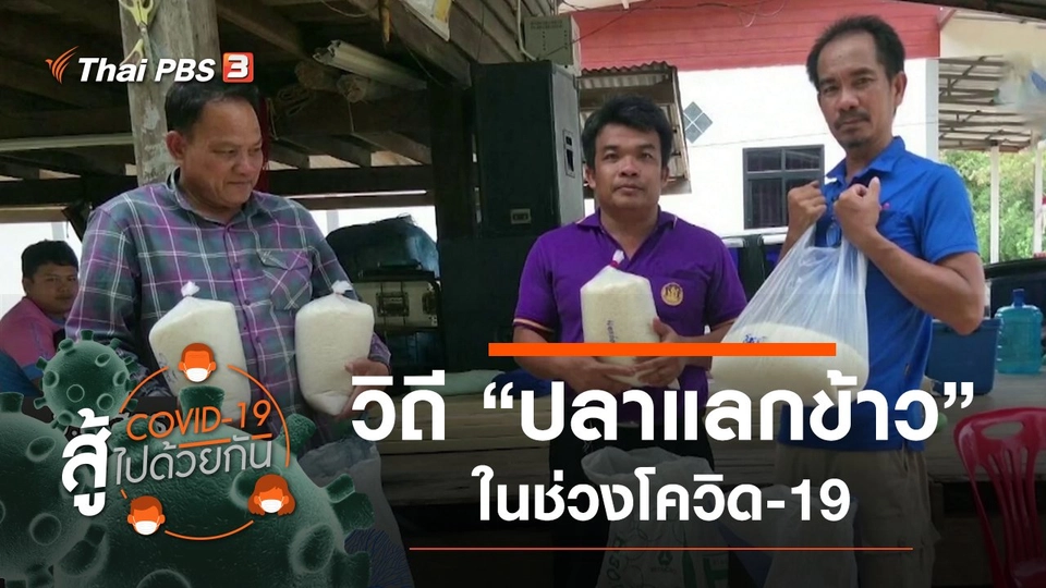 วิถี “ปลาแลกข้าว” ในช่วงโควิด-19