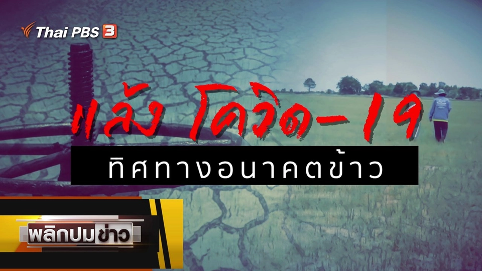 แล้งโควิด-19 ทิศทางอนาคตข้าว