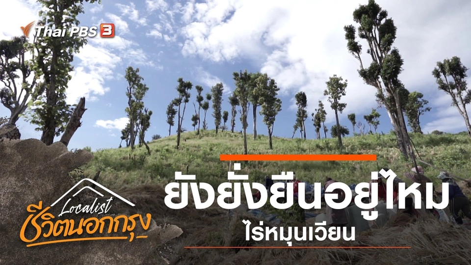 ยังยั่งยืนอยู่ไหม "ไร่หมุนเวียน"