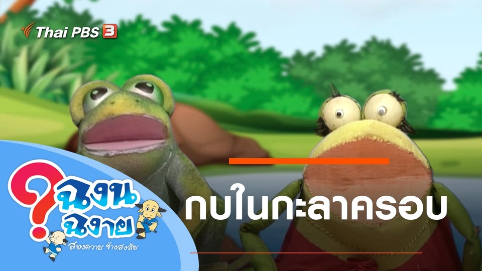 กบในกะลาครอบ