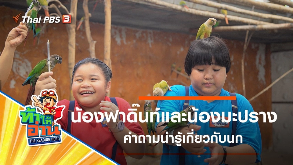 เรื่องเกี่ยวกับนก : น้องฟาดิ๊นท์และน้องมะปราง