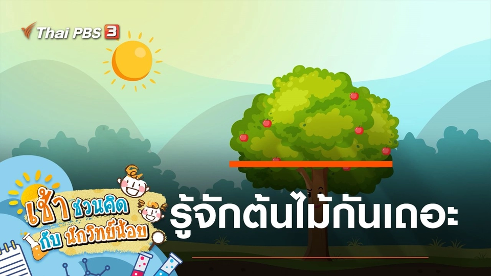 รู้จักต้นไม้กันเถอะ