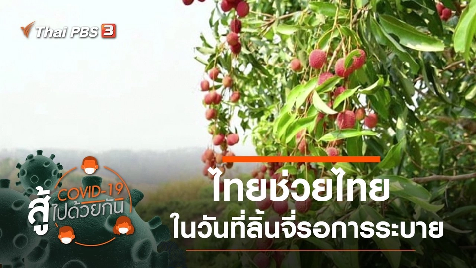 ไทยช่วยไทย - ในวันที่ลิ้นจี่ มะม่วงรอการระบาย