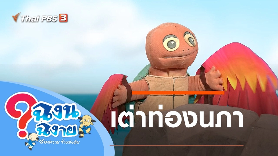 เต่าท่องนภา