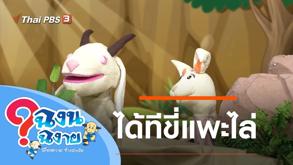 ได้ทีขี่แพะไล่