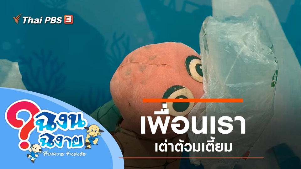 เพื่อนเราเต่าต้วมเตี้ยม