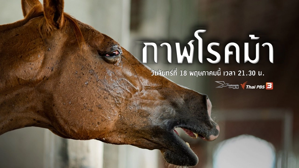 กาฬโรคม้า