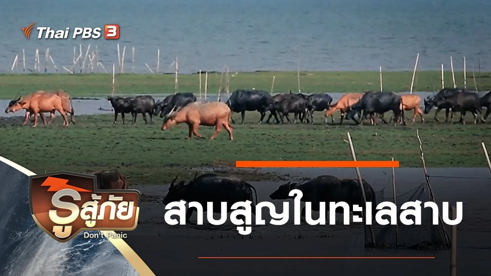 สาบสูญในทะเลสาบ