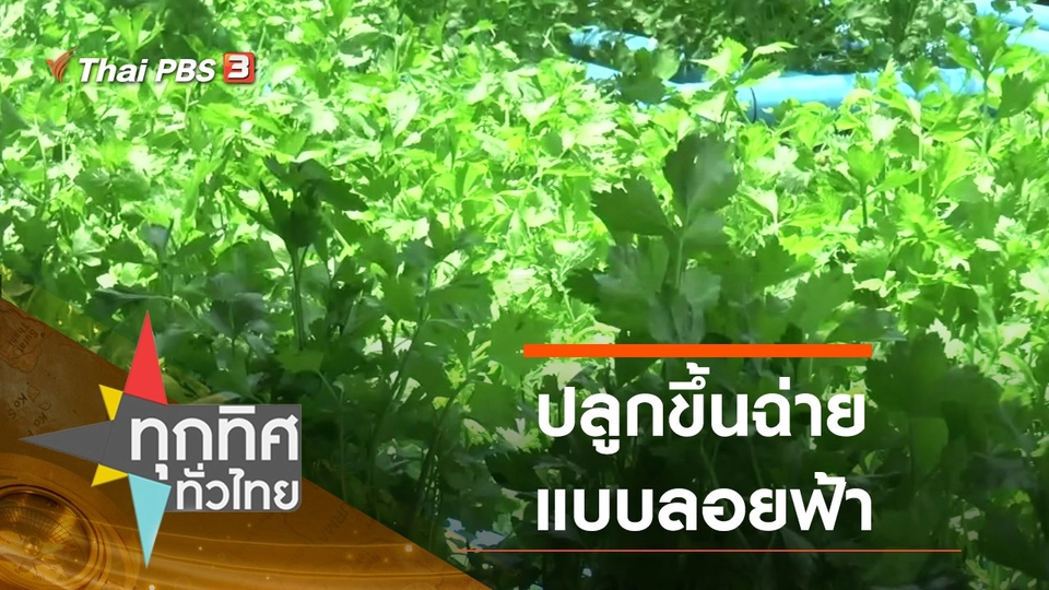 ประเด็นข่าว (3 ส.ค. 63)