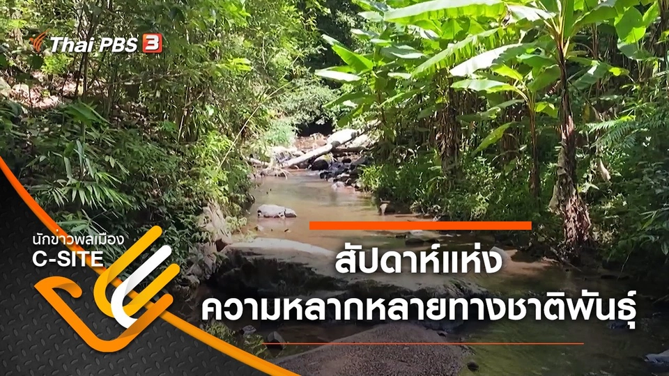 สัปดาห์แห่งความหลากหลายทางชาติพันธุ์