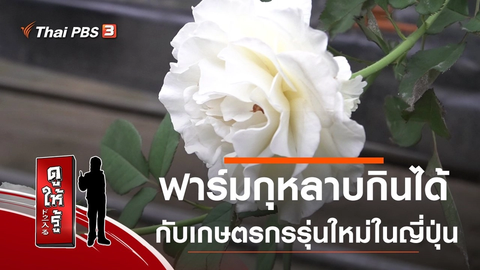 ฟาร์มกุหลาบกินได้กับเกษตรกรรุ่นใหม่ในญี่ปุ่น