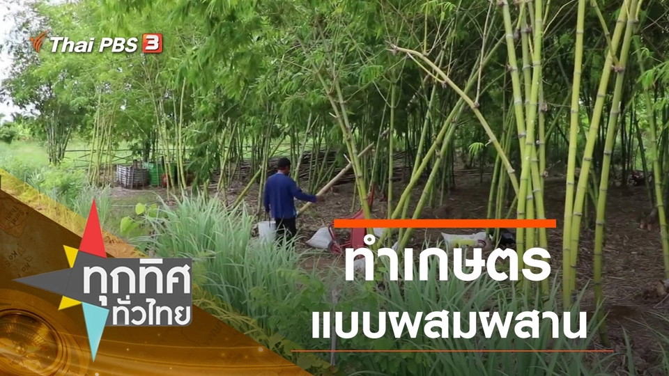 ประเด็นข่าว (7 ส.ค. 63)