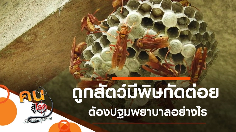 ปฐมพยาบาลผู้ถูกสัตว์มีพิษกัดต่อย, หน้าอ่อนวัยด้วยการบริหารใบหน้า