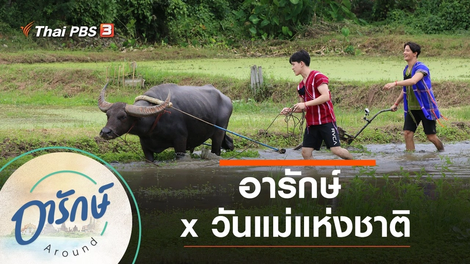 อารักษ์ x วันแม่แห่งชาติ