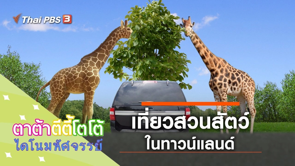 เที่ยวสวนสัตว์ทาวน์แลนด์