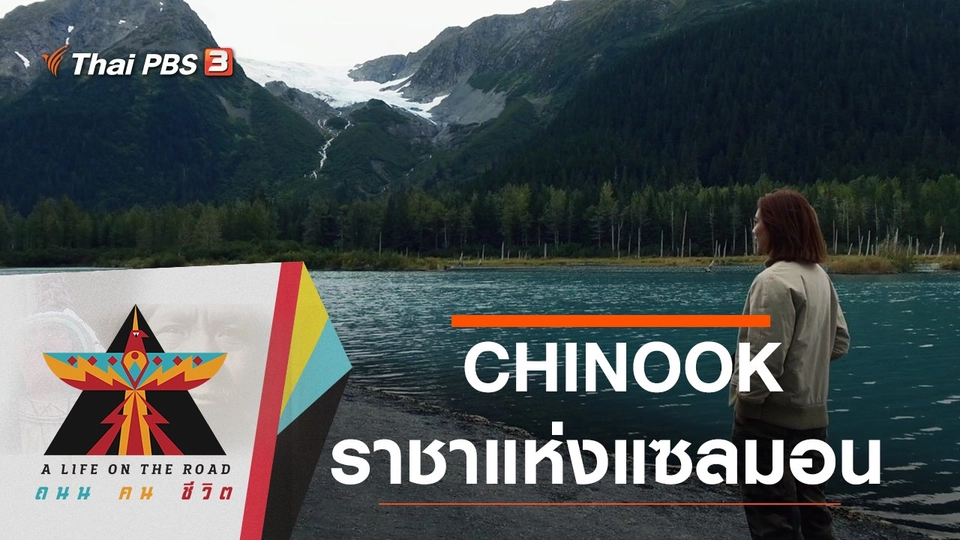 CHINOOK  ราชาแห่งแซลมอน