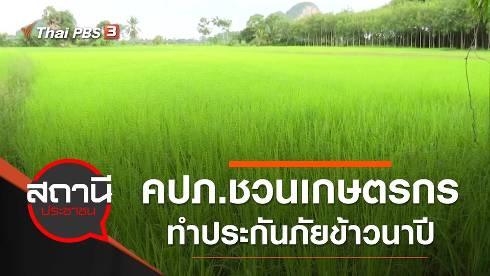 คปภ.ชวนเกษตรกรภาคใต้ทำประกันภัยข้าวนาปี