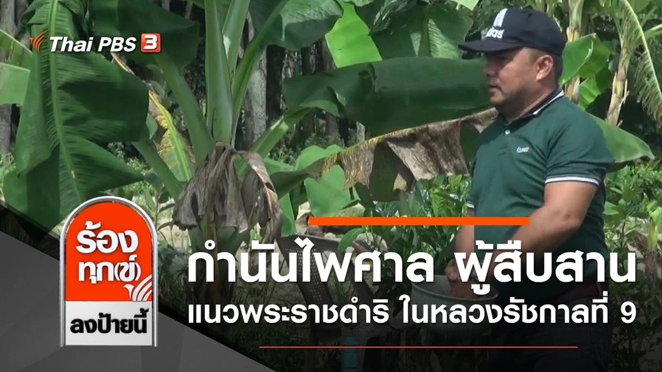 กำนันไพศาล ผู้สืบสานแนวพระราชดำริ ในหลวงรัชกาลที่ 9 จ.สงขลา