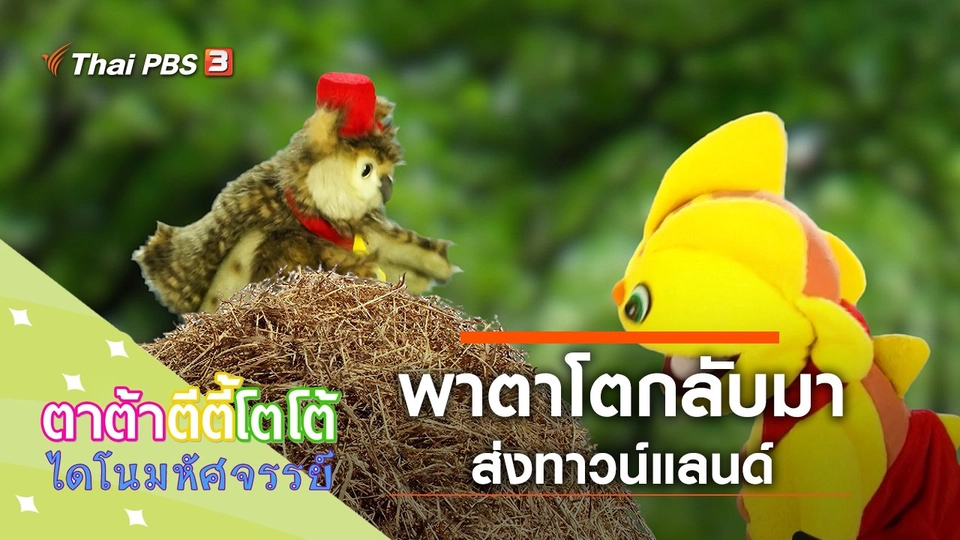 พาตาโตกลับมาส่งทาวน์แลนด์