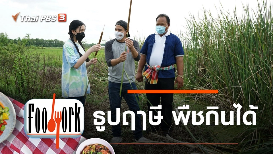 ธูปฤๅษี