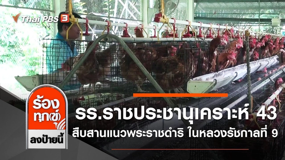 โรงเรียนราชประชานุเคราะห์ 43 สืบสานแนวพระราชดำริ ในหลวงรัชกาลที่ 9 จ.สงขลา
