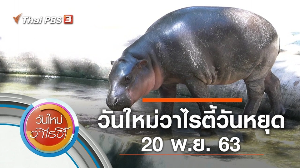 วันใหม่วาไรตี้วันหยุด (20 พ.ย. 63)