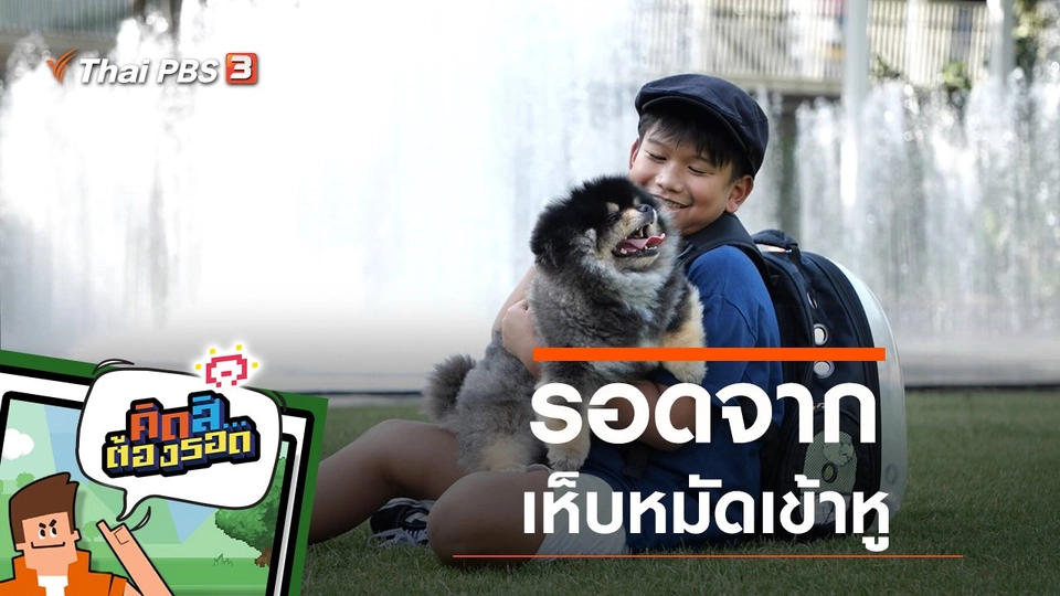 รอดจากเห็บหมัดเข้าหู